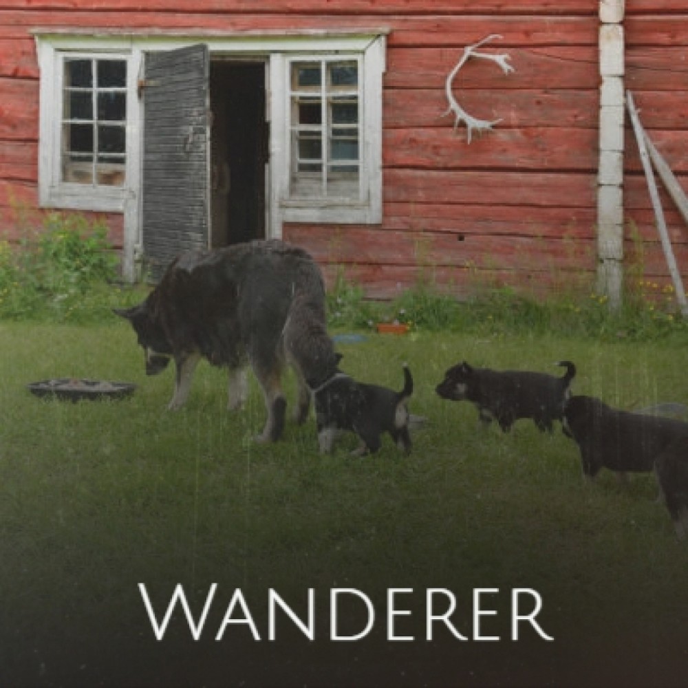 Wanderer