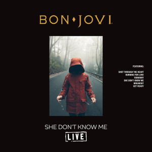 收聽Bon Jovi的Never Say Die (Live)歌詞歌曲