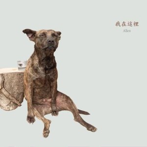 收聽陳志雄的愛牌除濕機歌詞歌曲