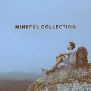 Mindful Collection