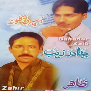 Listen to Rasha Chi Dowara larshu song with lyrics from Zahir Mashokhail