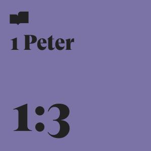 IAMSON的專輯1 Peter 1:3 (feat. iAmSon)