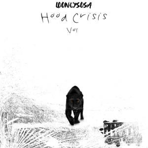 Looneysosa的專輯Hood Crisis, Vol. 1 (Explicit)