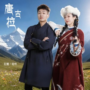 อัลบัม 唐古拉2025 ศิลปิน 王麟