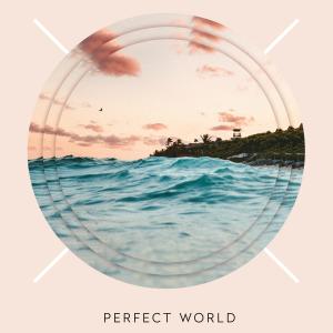 收听Dimi Marc的Perfect World歌词歌曲