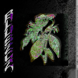 Album bluszcz from Sasanka