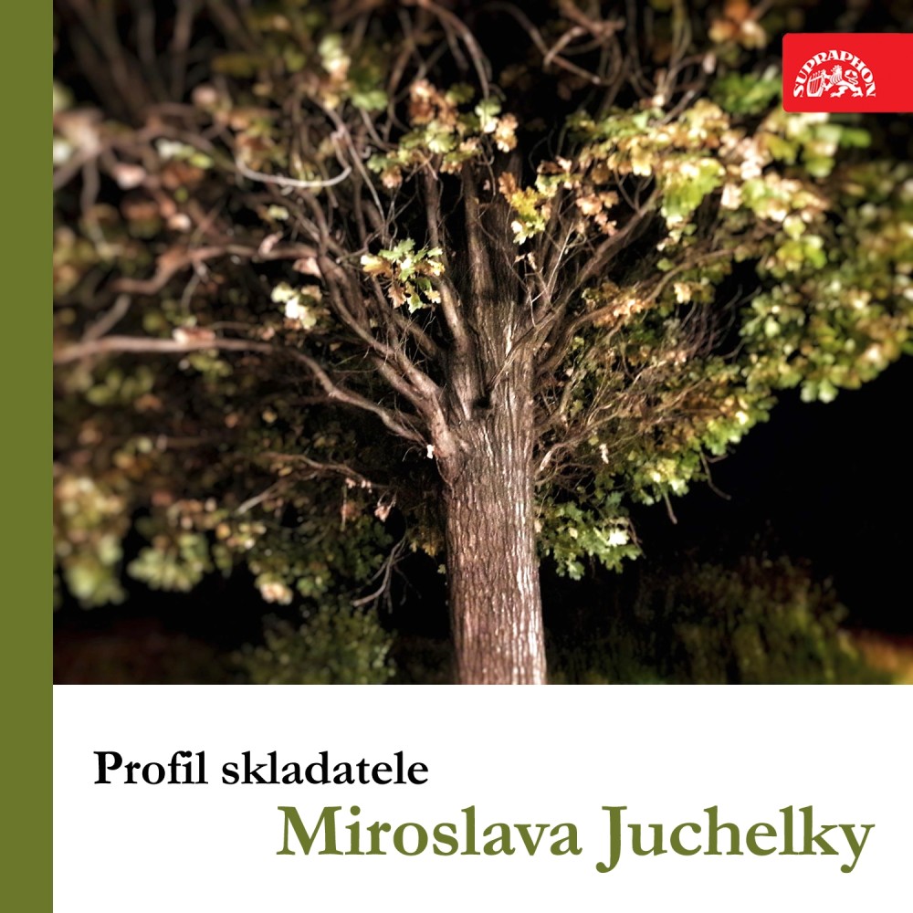 Česká polka