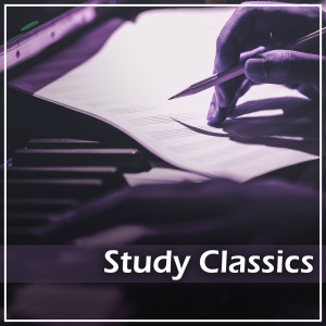 Fryderyk Chopin的專輯Chopin: Study Classics