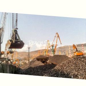 Album Reach Shell from 
