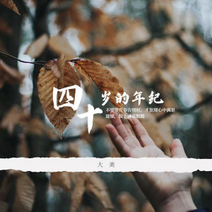 Listen to 四十岁的年纪 song with lyrics from 大美WH