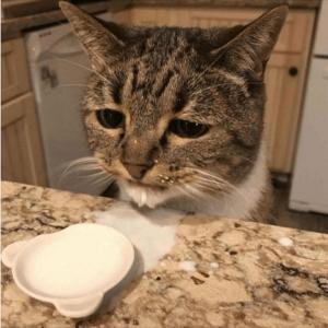 收聽Sprit的Rolling 7 (feat. Trey XM) (Explicit)歌詞歌曲