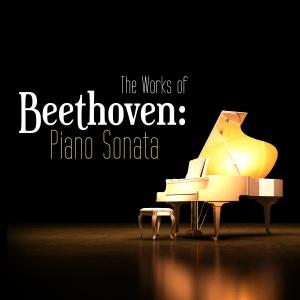 收聽Ludwig van Beethoven的Piano Sonata No. 4 in E-Flat Major, Op. 7: III. Allegro (純音樂)歌詞歌曲