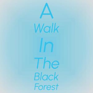 Listen to A Walk In The Black Forest song with lyrics from Horst Jankowski