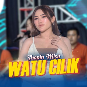 Album Watu Cilik (Cover) oleh Shepin MIsa