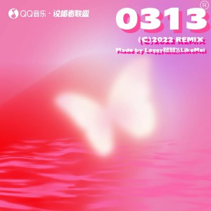 Listen to 0313 (伴奏) song with lyrics from Leggy腿腿