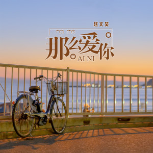 Listen to 那么爱你 (伴奏) song with lyrics from 赵文昊