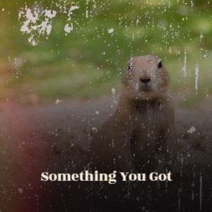 收听Elipse的Something You Got歌词歌曲