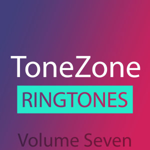 Tonezone Volume Seven (Explicit) dari Sunfly Karaoke