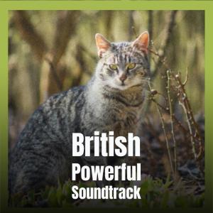 Album British Powerful Soundtrack from Various