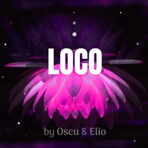 Listen to Loco song with lyrics from Oscu