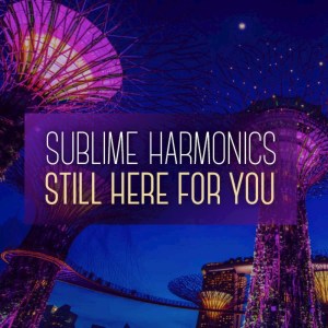 Album Still Here For You from Sublime Harmonics
