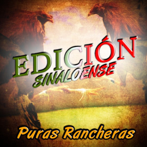 收聽Larry Hernandez的El Cerillazo (Edición Sinaloense)歌詞歌曲