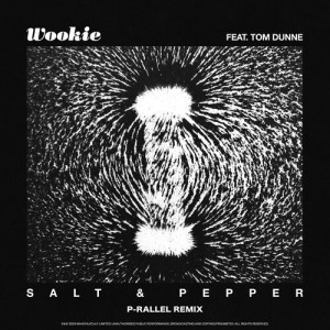 Listen to Salt & Pepper (p-rallel remix) song with lyrics from Wookie