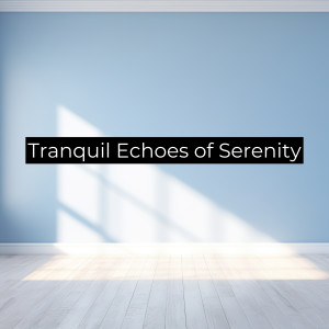 New Age Anti Stress Universe的专辑Tranquil Echoes of Serenity