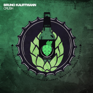 ดาวน์โหลดและฟังเพลง Crush (Radio Edit) พร้อมเนื้อเพลงจาก Bruno Kauffmann