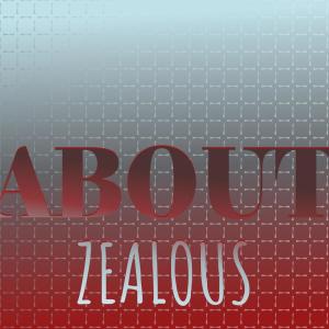 Various Artists的專輯About Zealous