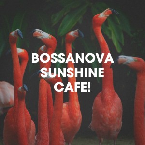 Album Bossanova Sunshine Cafe! from Bossa Nova Latin Jazz Piano Collective