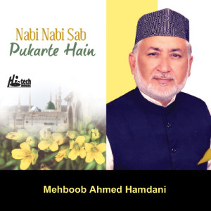 ดาวน์โหลดและฟังเพลง Taj-e-Dare Haram พร้อมเนื้อเพลงจาก Mehboob Ahmed Hamdani
