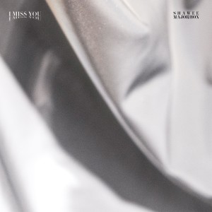 ดาวน์โหลดและฟังเพลง I Miss You (完整版) พร้อมเนื้อเพลงจาก mAjorHon