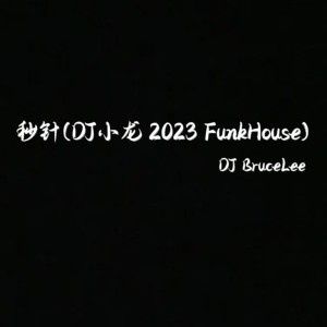 秒针(DJ小龙 2023 FunkHouse) dari 小龙Music