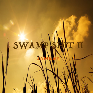 Jamesy的专辑Swamp Shit II (Explicit)