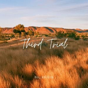 Album Third Trial from 