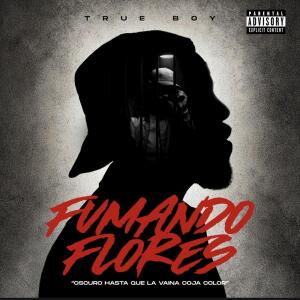 Listen to Fumando Flores (Explicit) song with lyrics from Trueboy