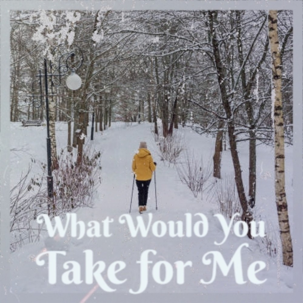 What Would You Take For Me