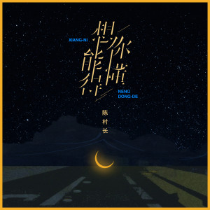 Listen to 想你能懂得 song with lyrics from 陈村长