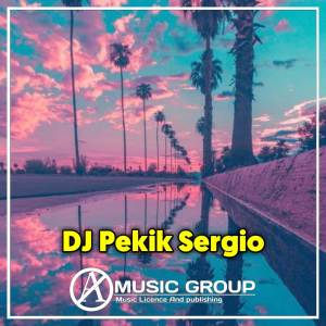 DJ Pekik Sergio的專輯DJ ENAK DONG VIRAL TIK TOK