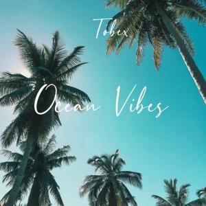 ดาวน์โหลดและฟังเพลง Ocean Vibes พร้อมเนื้อเพลงจาก Tøbex