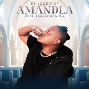 Album Amandla from Director Cube