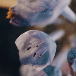 Listen to Belle Lumière (Rework) song with lyrics from Arbee