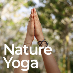 ดาวน์โหลดและฟังเพลง Nature Harmony Flow พร้อมเนื้อเพลงจาก Yoga Stretching
