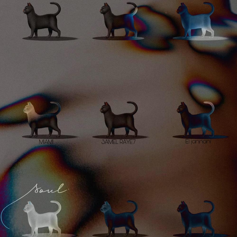 9 Souls (feat. Ninja249) (Explicit)