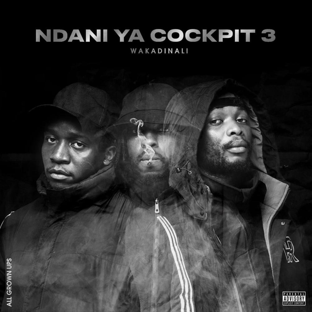 Rong Cypher Vol 2.0 (feat. Sudo, Elisha Elai, Skillo, Hr the Messenger, Katapillar, Droopy Kalahari, Ares 66 & Kitu Sewer|Explicit)