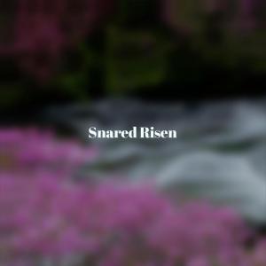 ดาวน์โหลดและฟังเพลง Snared Risen พร้อมเนื้อเพลงจาก Jeffy Heny