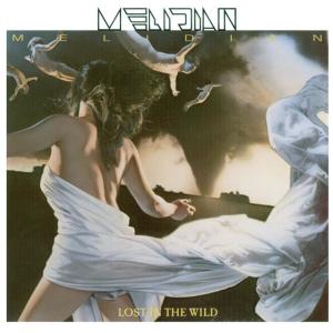 ดาวน์โหลดและฟังเพลง Lost in the Wild พร้อมเนื้อเพลงจาก Melidian