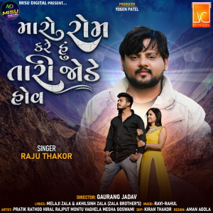 Listen to Maro Rom Kare Hu Tari Jode Hov song with lyrics from Raju Thakor