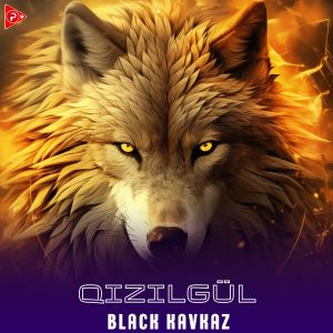 Album Qızılgül from Black Kavkaz